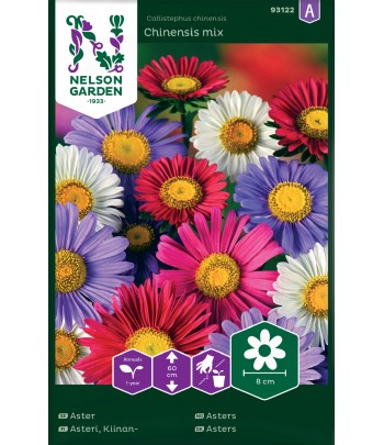 Aster - Chinensis mix