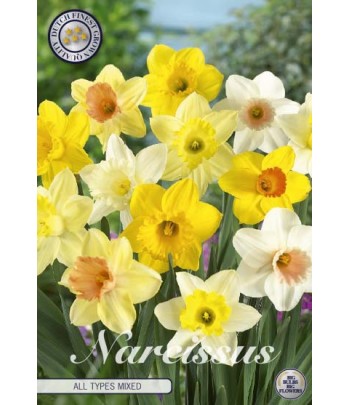 Narciss - Blandade