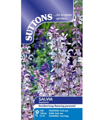 Salvia, sclarea - Euphoria